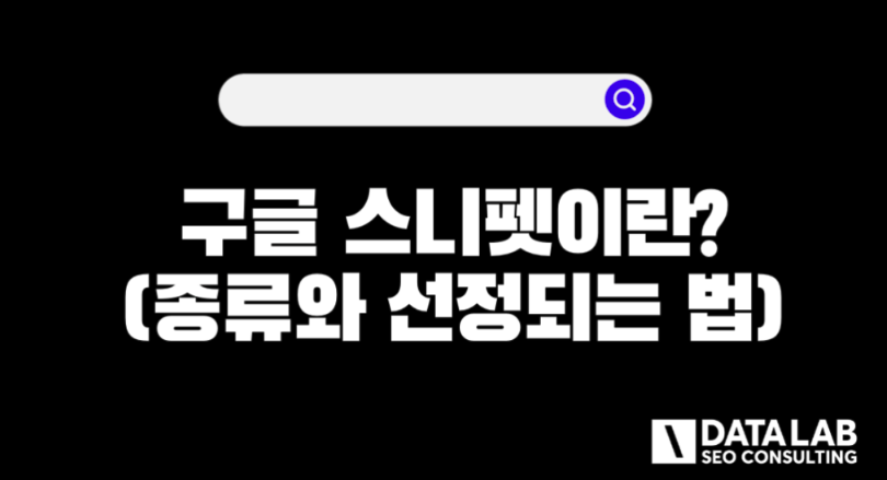 구글 스니펫이란?