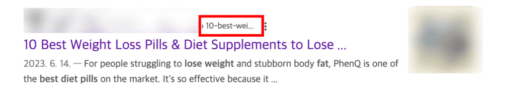 길이가 긴 슬러그는 검색 결과 페이지에서 잘린 형태로 노출